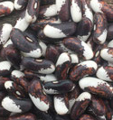 Appaloosa Beans