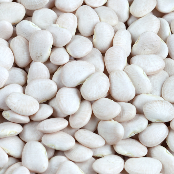 Baby Lima Beans