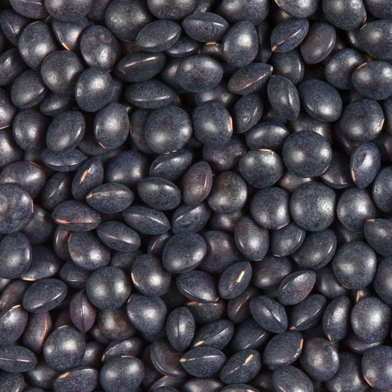 Beluga Lentils