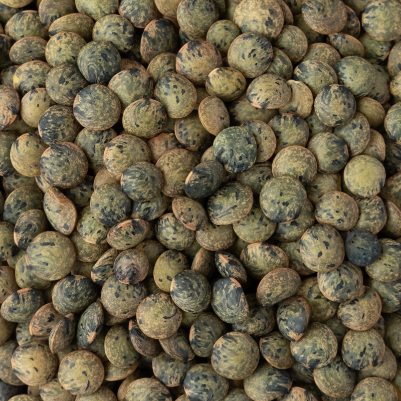 French Green Lentils