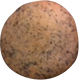 Pardina Lentils