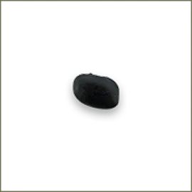 Black Turtle Beans