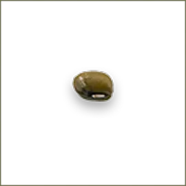 Mung Beans