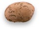 Pinto Beans