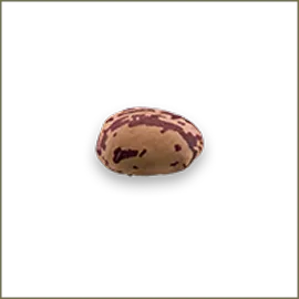 Romano Beans
