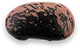 Scarlet Runner Beans