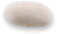 White Kidney Beans