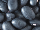 Black Beans