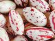 Cranberry Beans