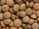 Crimson Lentils