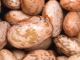 Pinto Beans